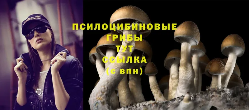 Псилоцибиновые грибы Magic Shrooms  blacksprut ONION  Демидов  купить наркоту 